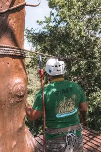 Ziplining through the Jungle in Tulum | Sea Turtles, Cenotes and Ziplining: A High-Adventure Tulum Excursion with Edventure Tours Tulum