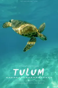 Sea Turtles, Cenotes and Ziplining: A High-Adventure Tulum Excursion with Edventure Tours Tulum