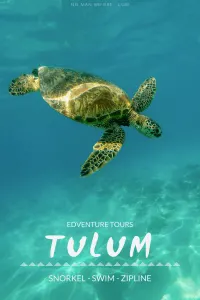 Sea Turtles, Cenotes and Ziplining: A High-Adventure Tulum Excursion with Edventure Tours Tulum