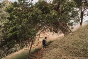 Hiker on the Kalepa Ridge Trail