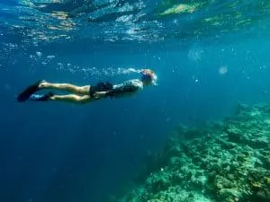 Coral Reef in El Nido, Philippines | A Guide to Buying Reef-Safe Sunscreen