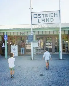 Ostrich Land near Santa Barbara, Ca