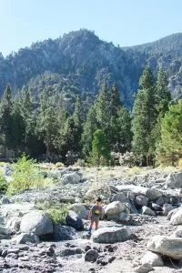 Cabin in Forest Falls, California | Tips for booking the coolest rentals and camping spots in Southern California