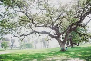 Ojai Valley Inn in Ojai, California | Tips for booking the coolest rentals and camping spots in Southern California