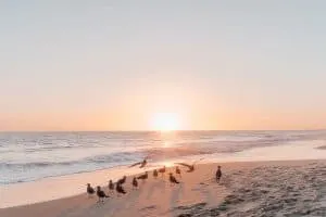 Crystal Cove State Park in Newport Beach, California
