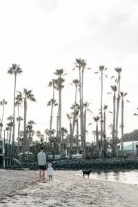 Morning Walk around Vacation Isle | A Weekend Stay at the Paradise Point Resort & Spa in San Diego, California