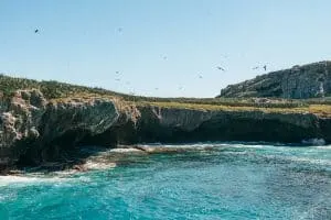 Bird watching near Marieta Islands | Riviera Nayarit, Mexico
