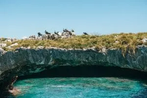 Blue-footed boobies on the Marieta Islands near Puerto Vallarta, Mexico