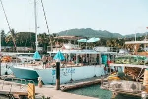 Marieta Islands Tour | Ally Cat Boat