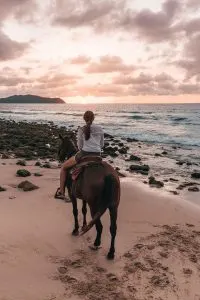 Horseback Riding in Riviera Nayarit, Mexico