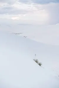 Tips for Camping in White Sands National Monument in New Mexico