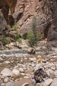 Hiking the Narrows in Zion with kids