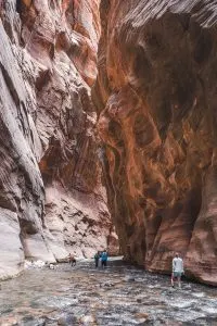Hiking the Narrows in Zion National Park: 11 Tips for Hiking with Kids