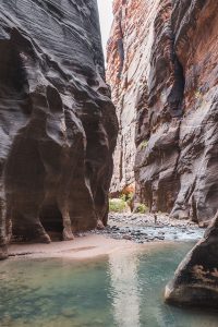Hiking the Narrows in Zion National Park: 11 Tips for Hiking with Kids