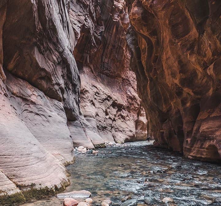 Hiking the Narrows in Zion National Park | Reaching Wall Street, the Narrowest part of Zion Canyon