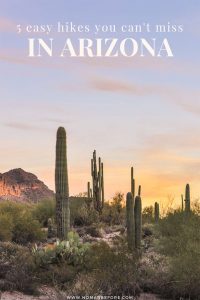 5 Hikes You Can't Miss in Arizona | Looking for great hiking near Mesa, Arizona? Experience the beauty of the Sonoran Desert with these five easy trails. Hike among thousands of saguaro cactus in the Superstition Mountains and Usery Mountain Regional Park about 30 minutes east of Phoenix. | #arizona #phoenix #mesa #hikes #hiking #arizonahiking #travel