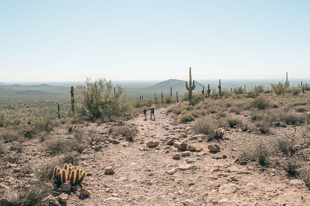 Best Hiking Trails near Mesa, Arizona | Hieroglyphic Trail in the Superstition Wilderness