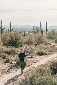 Best Hiking Trails near Mesa, Arizona | Medicine Wheel hiking area near Usery Mountain Regional Park