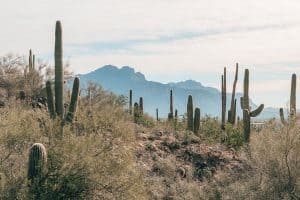 View of Superstition Mountains from Medicine Wheel hiking area | Best Hikes near Mesa, Arizona