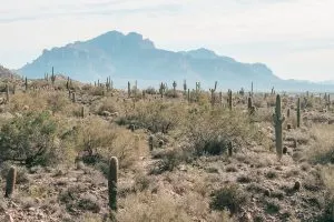 View of Superstition Mountains from Medicine Wheel hiking area | Best Hikes near Mesa, Arizona