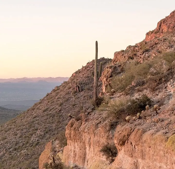 Best Hiking Trails near Mesa, Arizona | Wind Cave Trail in Usery Mountain Regional Park