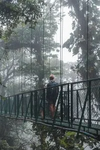 Hanging Bridges in Cloud Forest in Costa Rica