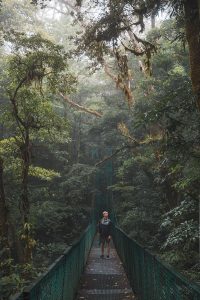 Hanging Bridges in Cloud Forest in Costa Rica
