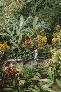 Lush grounds at Si Como No Resort