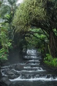 Soaking in the Tabacon Hot Springs in La Fortuna, Costa Rica | 9 Amazing things to do in La Fortuna