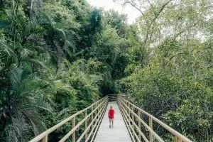 Manuel Antonio National Park in Costa Rica
