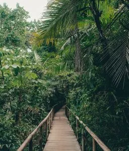 11 Tips for Visiting Manuel Antonio National Park in Costa Rica