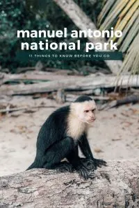11 Tips for Visiting Manuel Antonio National Park in Costa Rica