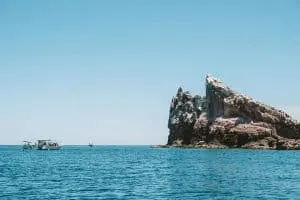 Los Islotes near La Paz, Mexico