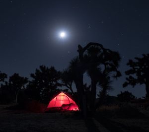 Tent lit up at night at Joshua Tree National Park