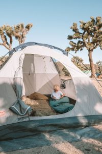 Tent in Campground at Joshua Tree National Park
