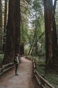 Hiking through Muir Woods with the new Lems Mesa, a Minimalist Hiking Shoe