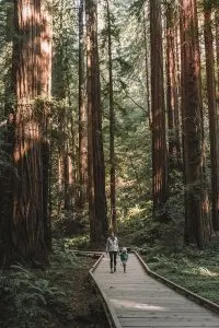 Hiking through Muir Woods with the new Lems Mesa, a Minimalist Hiking Shoe
