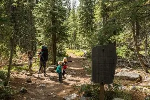 Sign marking Sawtooth Wilderness -- Fill out your free permit here