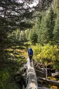 Backpacker crossing the creek on the Alice Toxaway Loop Trail on a log