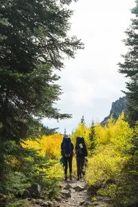 Yellow Aspens along Trail to Alice Lake in Sawtooth Wilderness, Idaho