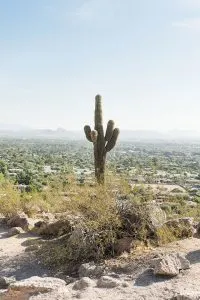 View from Camelback Mountain in Phoenix, Arizona
