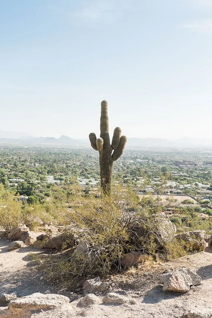 View from Camelback Mountain in Phoenix, Arizona
