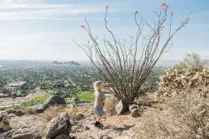 Hiking Cholla Trail on Camelback Mountain in Phoenix, Arizona