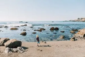 Pebble Beach at Sea Ranch, California