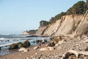Bowling Ball Beach at Schooner Gulch State Beach