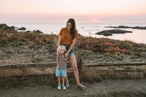 Shell Beach at Sea Ranch, California