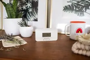 Carbon Monoxide Alarm for travel