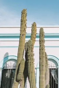 Todos Santos, Mexico