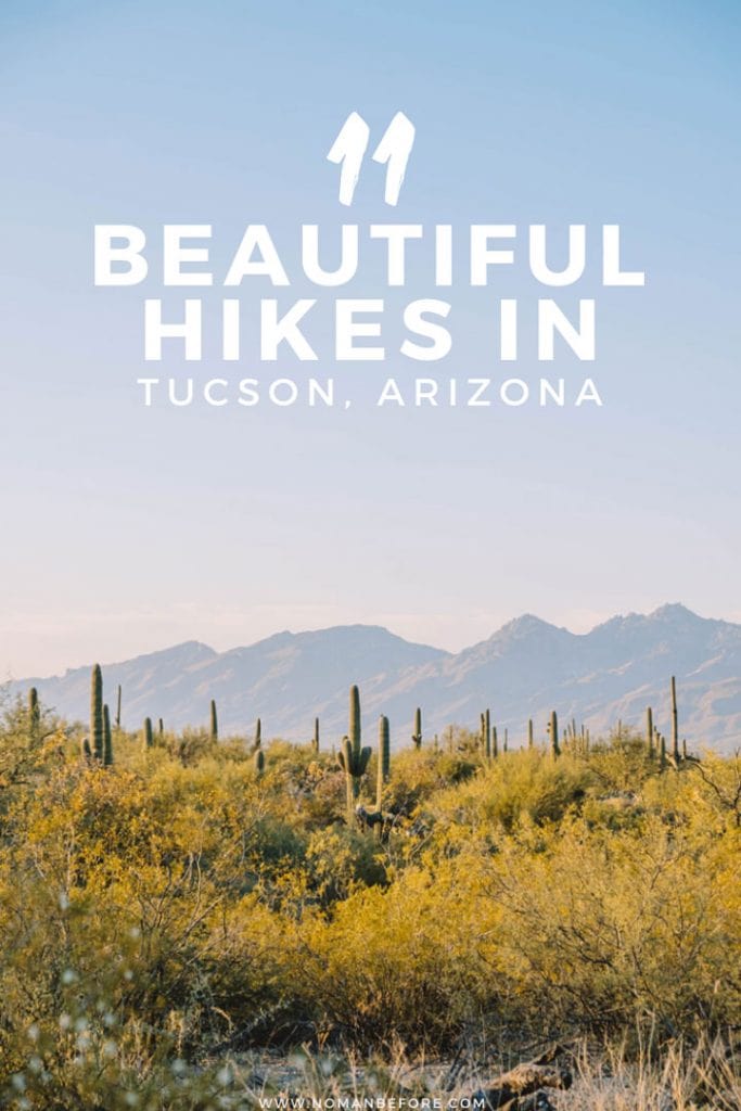 11 Best Tucson Hiking Trails 11-best-tucson-hiking-trails