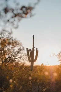 Views from a beautiful hiking trail in Tucson, Arizona